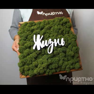 ЖИВАЯ ЭКО-КАРТИНА 1061