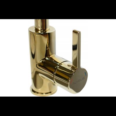 Смеситель Alveus TESLA-P MONARCH COOPER