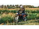 Купить Мотоцикл IRBIS XR250R 250сс 4т