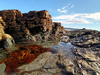 Полуостров Рыбачий (3 дня)