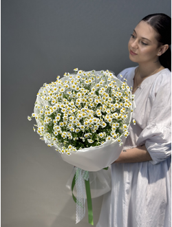 Охапка ромашек M