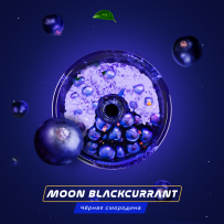 Паста для кальяна Space Smoke 30гр MOON BLACKCURRANT — черная смородина