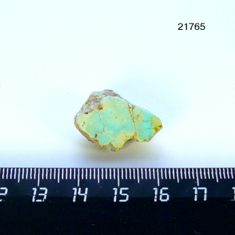 Бирюза натуральная (горбшука) Казахстан арт.21765: 4,8г - 24*15*11мм