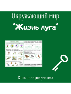 Рабочий лист. 4 класс. "Жизнь луга"