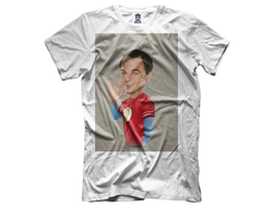 Футболка Теория большого взрыва, The Big Bang Theory №11