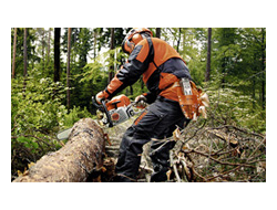 Запчасти Stihl к бензопилам