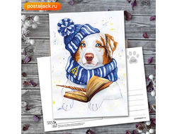 Верный друг Когтеврана