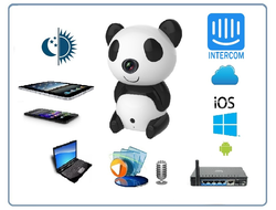 Видеоняня Panda WiFi-LAN видеокамера с DVR , HD (MIPC)