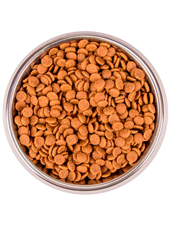 Monge Cat BWild Kitten (Монж) низкозерновой корм для котят, с гусём 1,5 кг