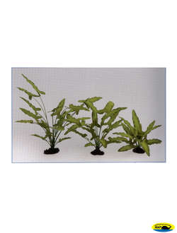 81013-40 Растение шелк. Анубиас Хастифолия 40см.