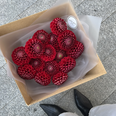 Транспортировочный бокс