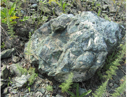 Ландшафтный бут зеленый