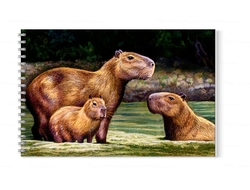 Альбом для рисования Капибара, Kapibara-san №12