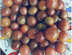 Томат Черри Фиолетовый сахар Рейнхарда (Reinhards Purple Sugar)