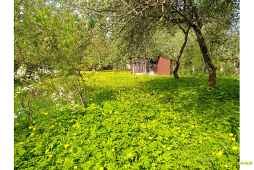 Жаворонки. Одинцовский район