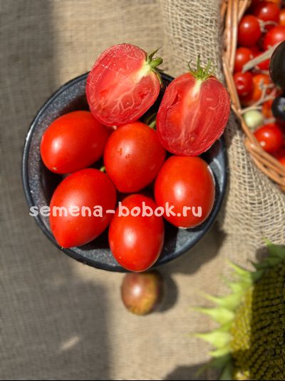 Томат Dwarf Sneaky Sauce (Гном для соуса), 10 шт