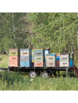 Прицеп «Тандем» (8213 2E)