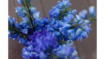 Флористика - Gus.Flowers
Организация - студия авторских свадеб Oh Weding
Фотограф  - Виктория Титова