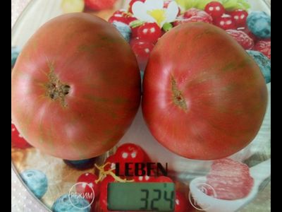 Томат Темная королева (Dark Queen), США