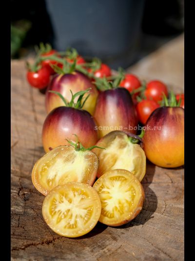 Томат Золотая Чалма, 10 шт