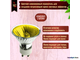 Muller Licht JDR-C-GU/550Y 50w 230v 50° GU10 Yellow