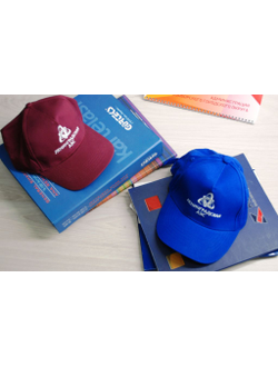 Кепка с лого