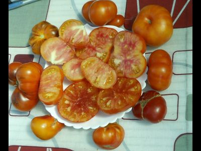 Томат Яркий самоцвет (Люсид джем, Lucid gem, США)