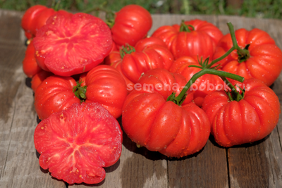 Томат Riccio Di Parma (Кудрявый из Пармы), 10 шт