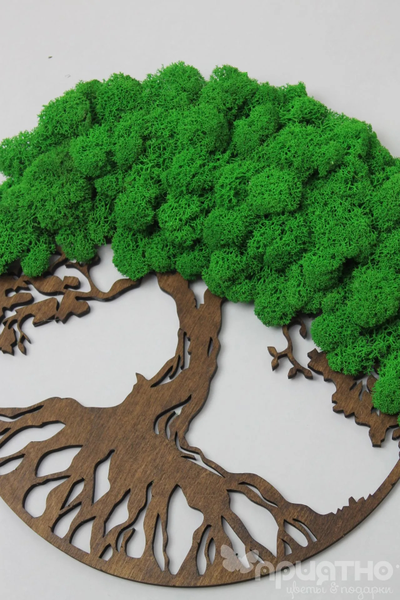 ЖИВАЯ ЭКО-КАРТИНА 1025