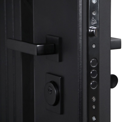 Стальная дверь   Silver с зеркалом. Заказная модель.