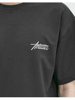 Футболка Anteater Phat 478 Темно-Серая