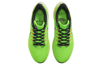 Интернет магазин найк Кроссовки Nike Air Zoom Pegasus 39 Ekiden Zoom Pack DZ4776-343