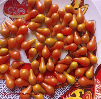 Томат  Груша апельсиновая (Pera Naranja, Груша оранжевая)