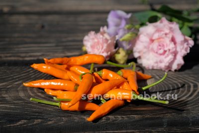 Перец острый Onza Amarillo, 10 шт