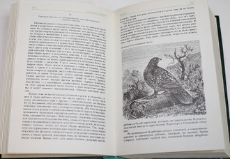 Сабанеев Л.П. Охотничьи птицы. Труды по охоте. М.: Физкультура и спорт. 1989г.