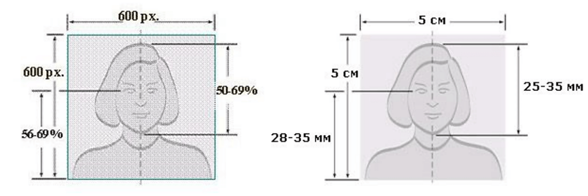 Фото заявителя на Грин-карту без очков и головных уборов 