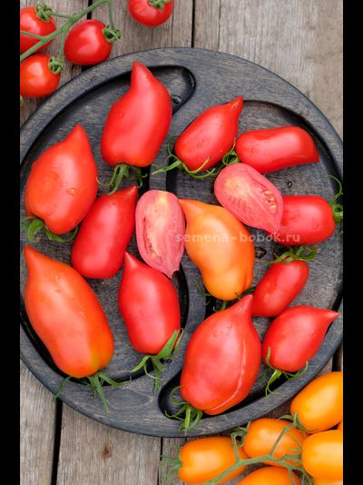 Томат Черевички, 10 шт