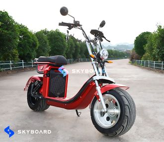 ЭЛЕКТРОСКУТЕР SKYBOARD BR4000 FAST