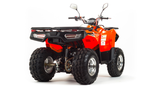 Квадроцикл MOTOLAND ATV 200 MAX фото