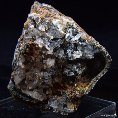 Гипс и псиломелан в полости ракушки. 61*50*39мм