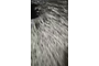 IMG_0740.jpeg