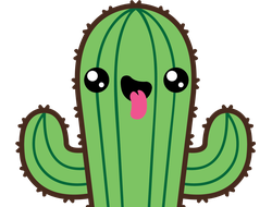 Echinopsis hybrid - 10 семян