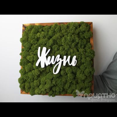 ЖИВАЯ ЭКО-КАРТИНА 1061