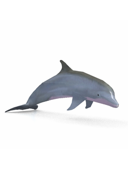 рыбы Дельфин