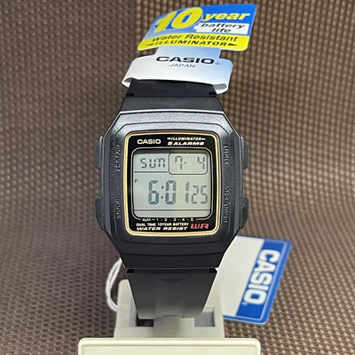 Часы Casio F-201WA-9A