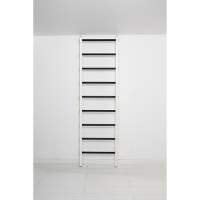 Шведская стенка Ferrum Force F купить в Воронеже