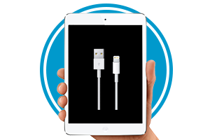 Зарядный разъем ipad