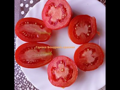 Томат Сливка Бендрика красная