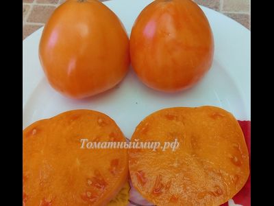 Томат Регби оранжевый (Rugby orange, США)