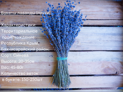 Букет лаванды Синева 1шт.